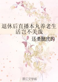 (BG/綜漫同人)退休後直播本丸養老生活豈不美哉