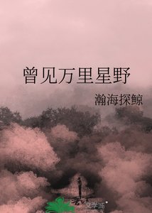 曾見萬里星野
