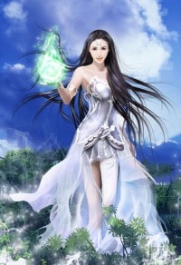 入门赘婿