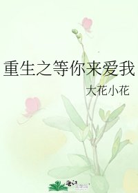 重生之等你來愛我